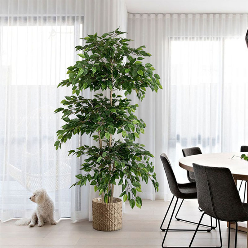 Ficus Lyrata Tree - 70in Ficus pohon buatan พืชเขตร้อนขนาดใหญ่พลาสติกปลอมใบไม้สีเขียว pohon
