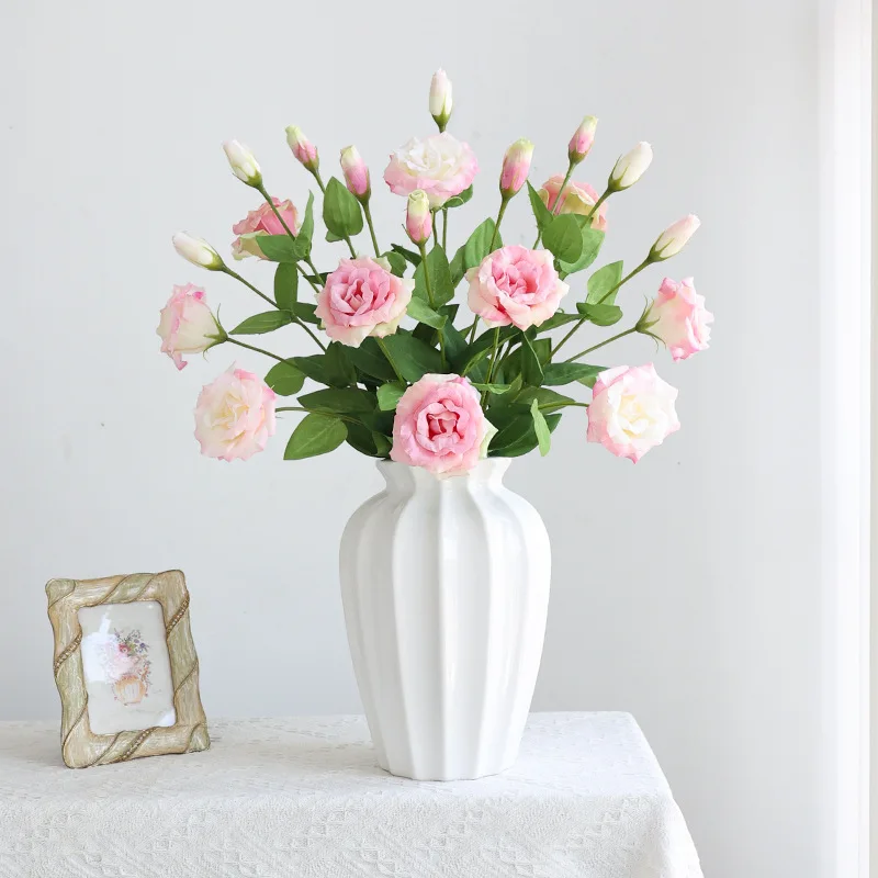 Ficus Lyrata Tree - 10 ชิ้น/ล็อต Moisturizing 2 หัว Eustoma