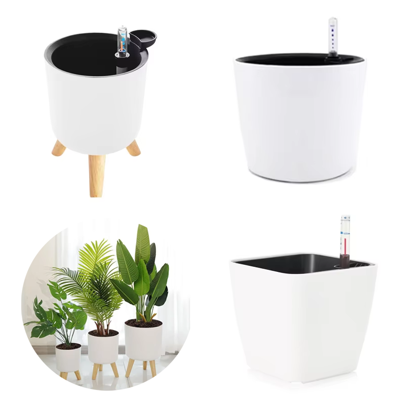 กระถางต้นไม้พลาสติกในร่ม 1 ชิ้ - Aloe Vera Pot บทวิจารณ์และราคา