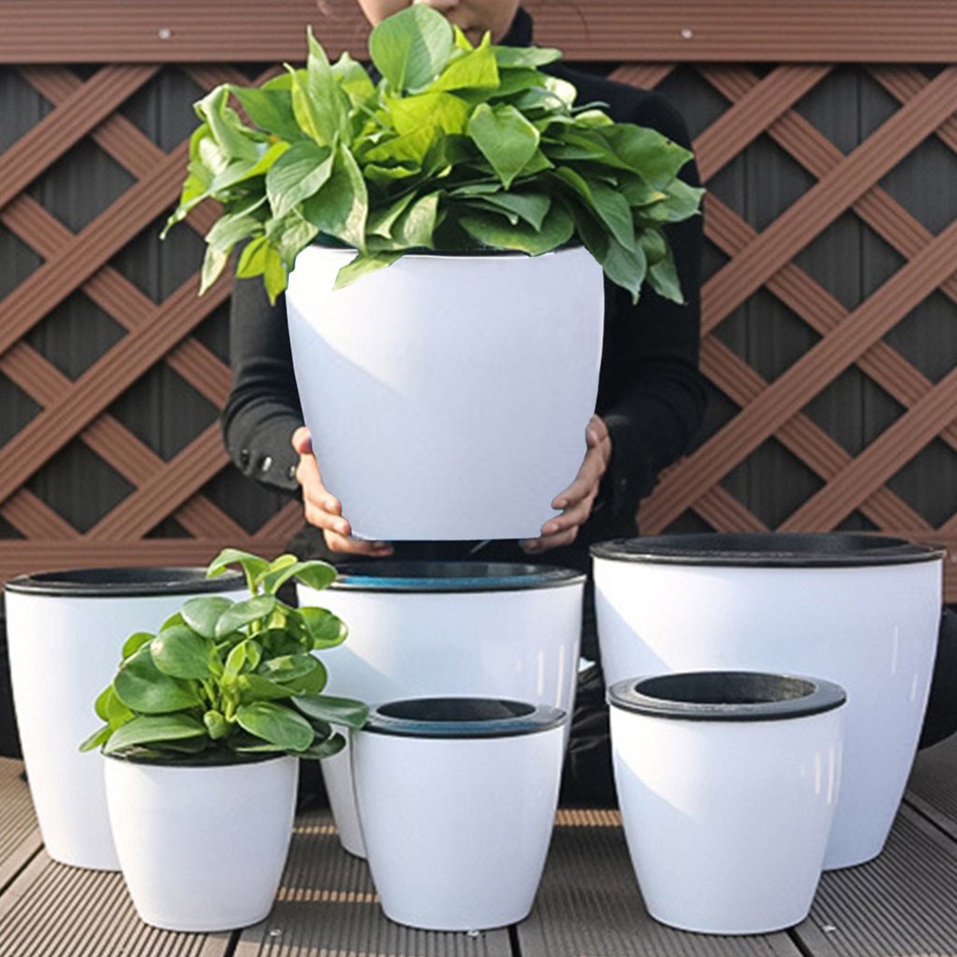 กระถางรดน้ำต้นไม้อัตโนมัติกระถ - Aloe Vera Pot บทวิจารณ์และราคา