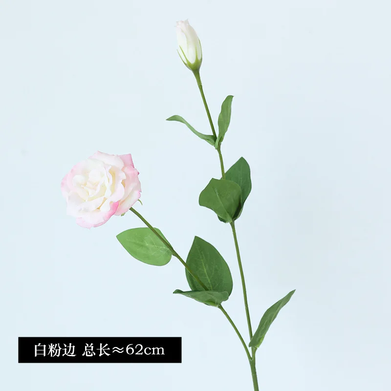 10 ชิ้น/ล็อต Moisturizing 2 หั - Ficus Lyrata Tree บทวิจารณ์และราคา