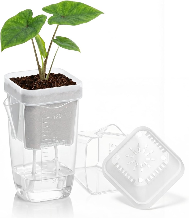 กระถางต้นไม้แบบใสพร้อมระบบให้น - Aloe Vera Pot บทวิจารณ์และราคา
