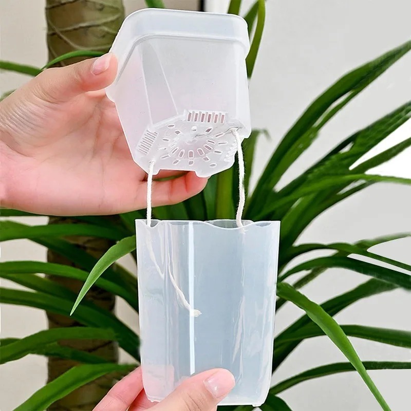 กระถางต้นไม้แบบใสพร้อมระบบให้น - Aloe Vera Pot บทวิจารณ์และราคา