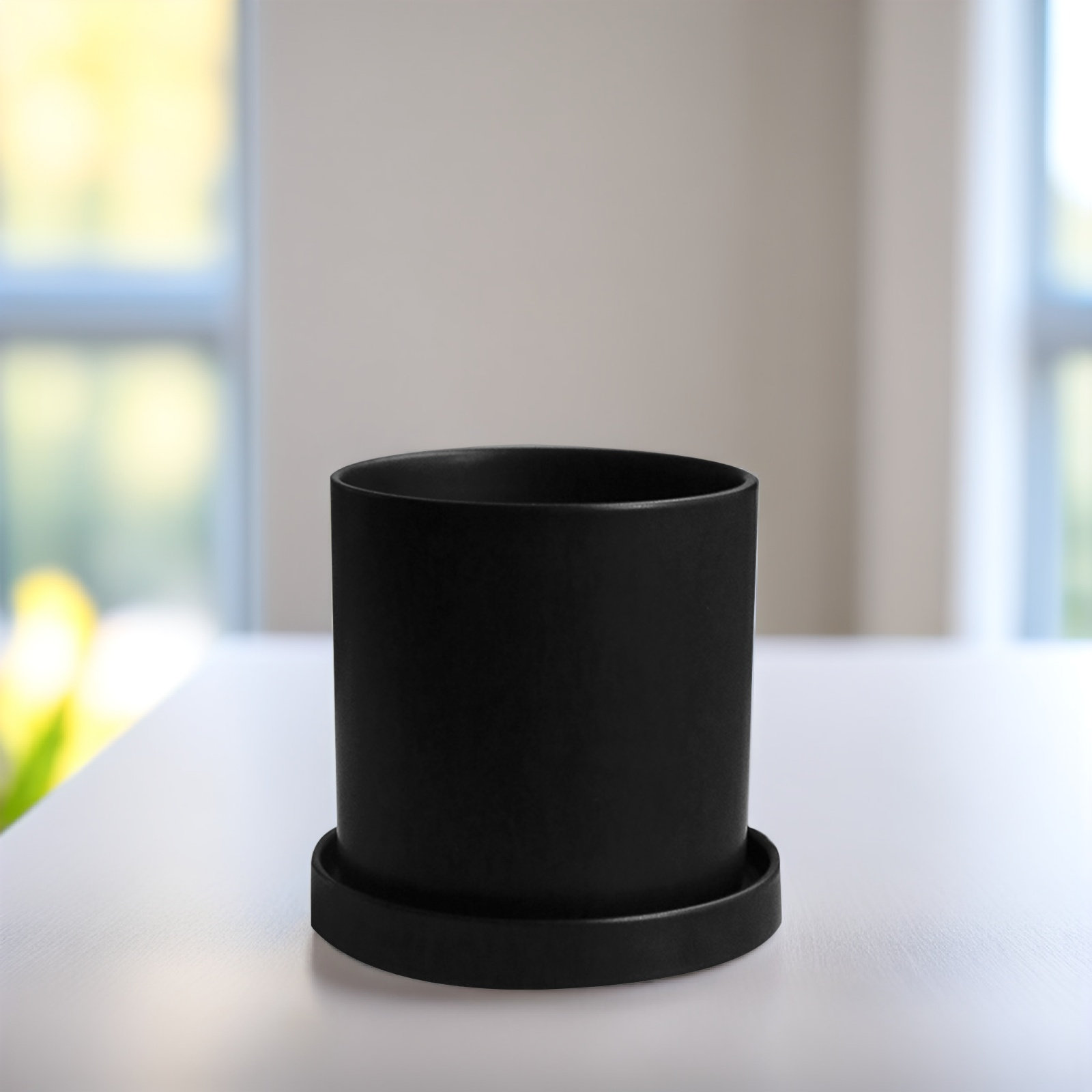 ชุดกระถางเซรามิกดีไซน์ทันสมัยพ - Aloe Vera Pot บทวิจารณ์และราคา
